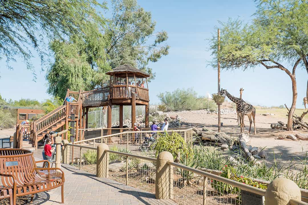 costco phoenix zoo tickets